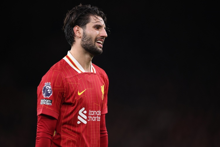 四凌晨的欧, 有很多, span